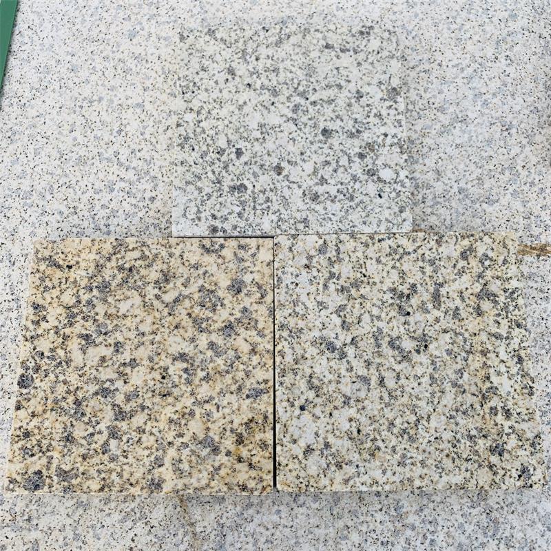 黃金鑽大中淺光面